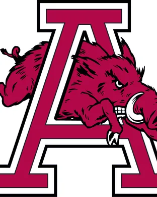 Arkansas Razorbacks Austin