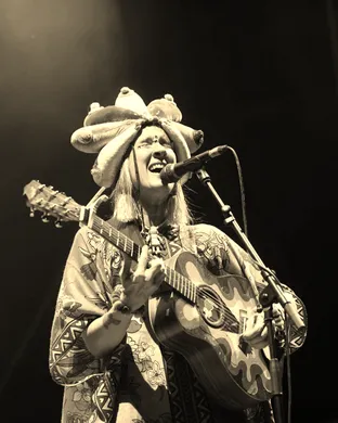 Aterciopelados Austin