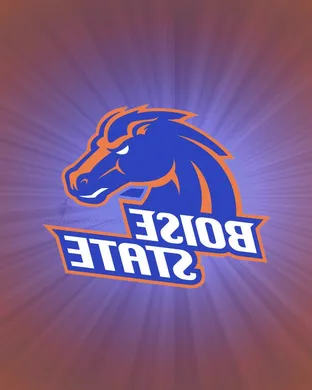 Boise State Broncos Football Boise