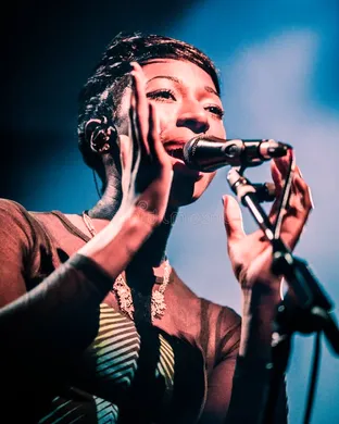 Bonobo Austin