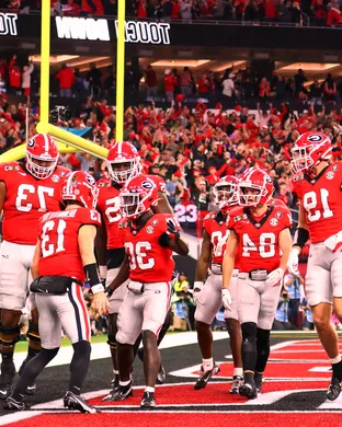 Georgia Bulldogs Austin