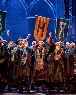 Harry Potter and The Cursed Child