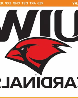 Incarnate Word Cardinals Football San Marcos