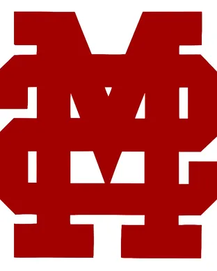 Mississippi State Bulldogs Baseball Austin
