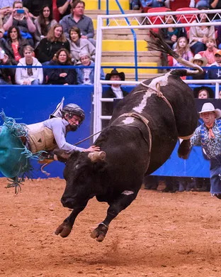 Rodeo Austin Austin
