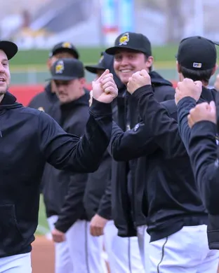 Salt Lake Bees Round Rock