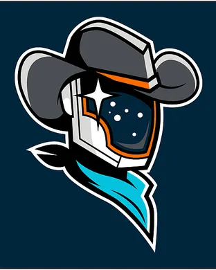 Sugar Land Space Cowboys Round Rock