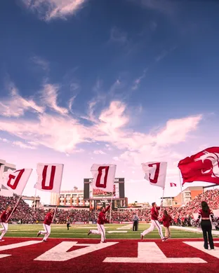 Washington State Cougars San Marcos